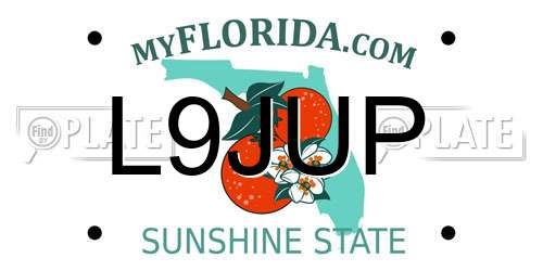 L9JUP Florida License Plate