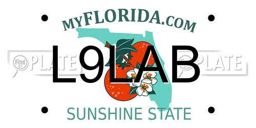 L9LAB Florida License Plate