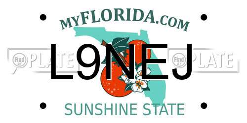 L9NEJ Florida License Plate