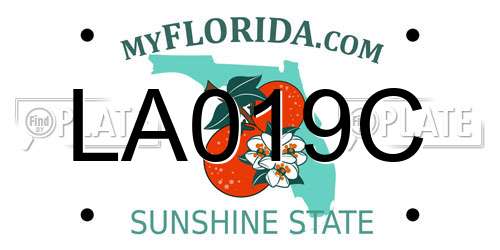 LA019C Florida License Plate