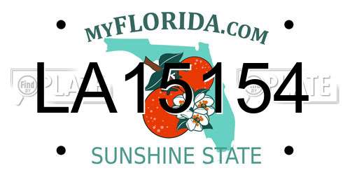 LA15154 Florida License Plate