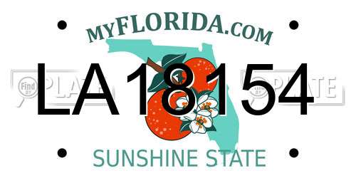 LA18154 Florida License Plate