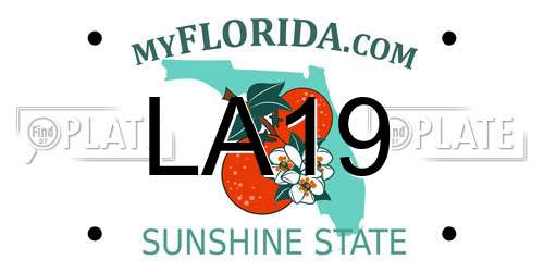 LA19 Florida License Plate