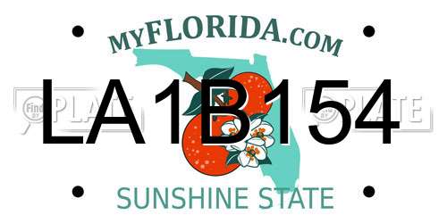 LA1B154 Florida License Plate