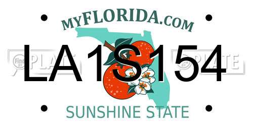 LA1S154 Florida License Plate