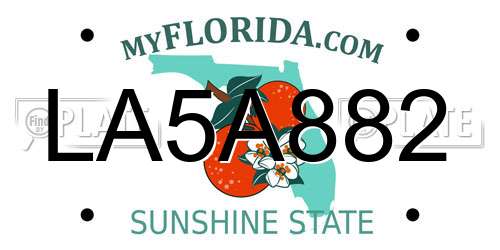 LA5A882 Florida License Plate
