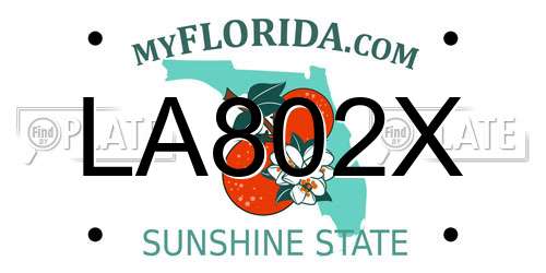 LA802X Florida License Plate