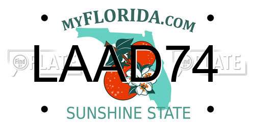 LAAD74 Florida License Plate