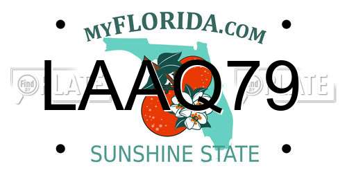LAAQ79 Florida License Plate