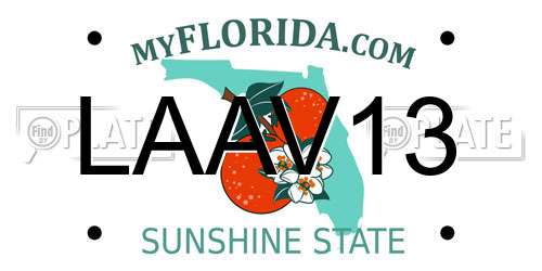 LAAV13 Florida License Plate