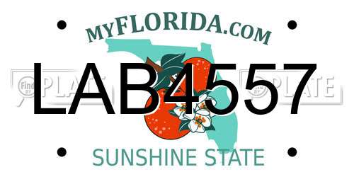 LAB4557 Florida License Plate