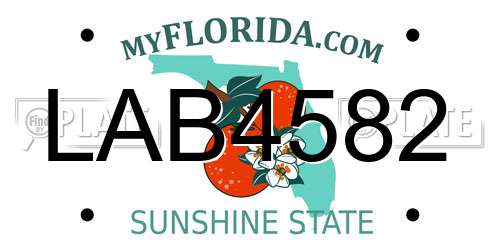 LAB4582 Florida License Plate