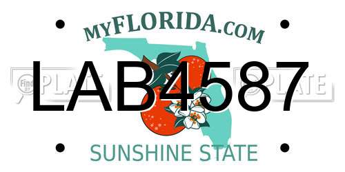 LAB4587 Florida License Plate