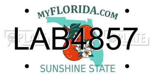 LAB4857 Florida License Plate