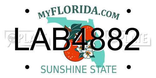 LAB4882 Florida License Plate