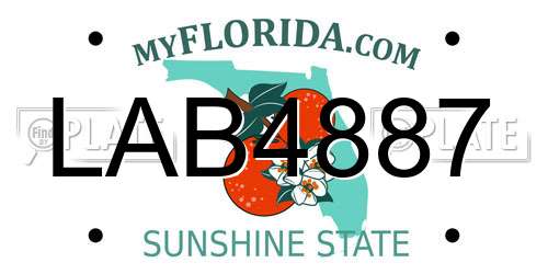 LAB4887 Florida License Plate