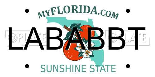 LABABBT Florida License Plate