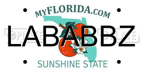 LABABBZ Florida License Plate