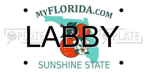 LABBY Florida License Plate