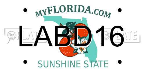 LABD16 Florida License Plate