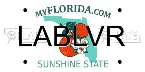 LABLVR Florida License Plate