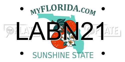 LABN21 Florida License Plate