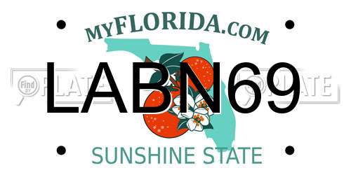 LABN69 Florida License Plate