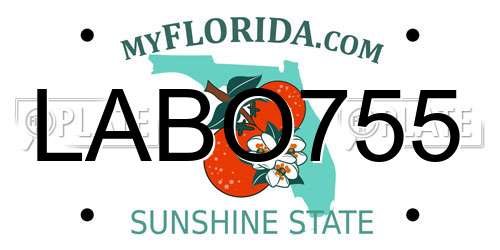 LABO755 Florida License Plate
