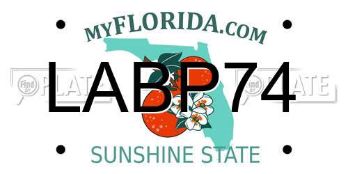 LABP74 Florida License Plate