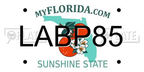 LABP85 Florida License Plate