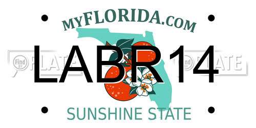 LABR14 Florida License Plate