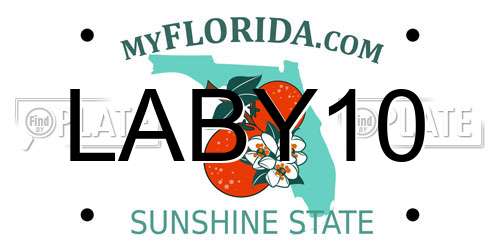 LABY10 Florida License Plate