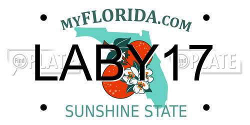 LABY17 Florida License Plate