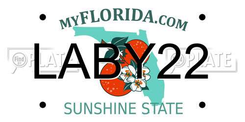 LABY22 Florida License Plate
