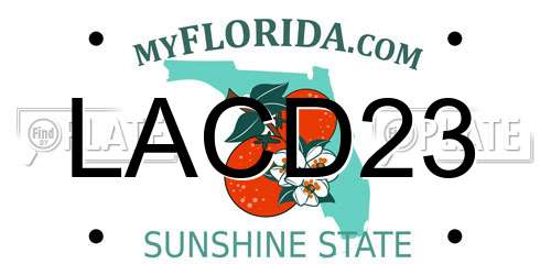 LACD23 Florida License Plate