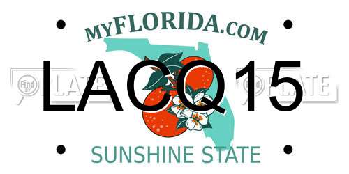LACQ15 Florida License Plate