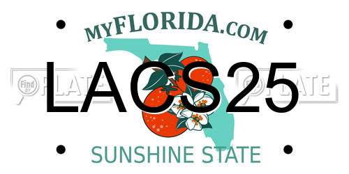 LACS25 Florida License Plate