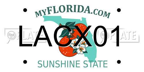 LACX01 Florida License Plate