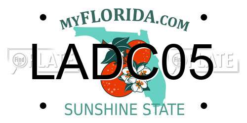 LADC05 Florida License Plate