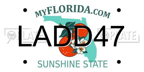 LADD47 Florida License Plate