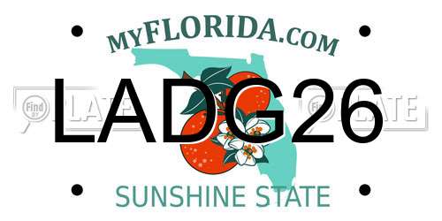 LADG26 Florida License Plate