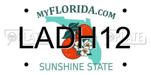 LADH12 Florida License Plate