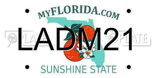 LADM21 Florida License Plate