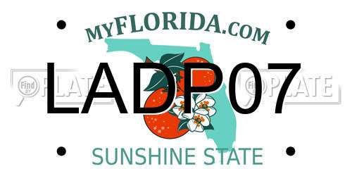 LADP07 Florida License Plate