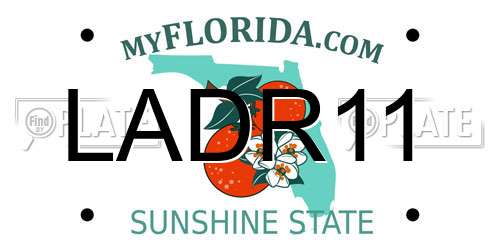 LADR11 Florida License Plate