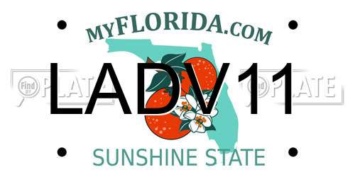 LADV11 Florida License Plate