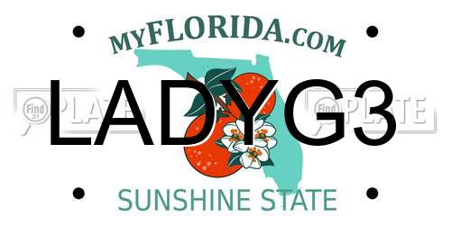 LADYG3 Florida License Plate