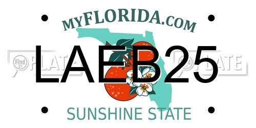 LAEB25 Florida License Plate