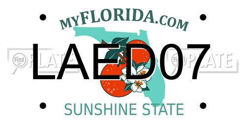 LAED07 Florida License Plate