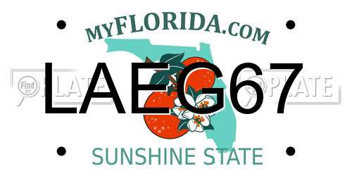 LAEG67 Florida License Plate